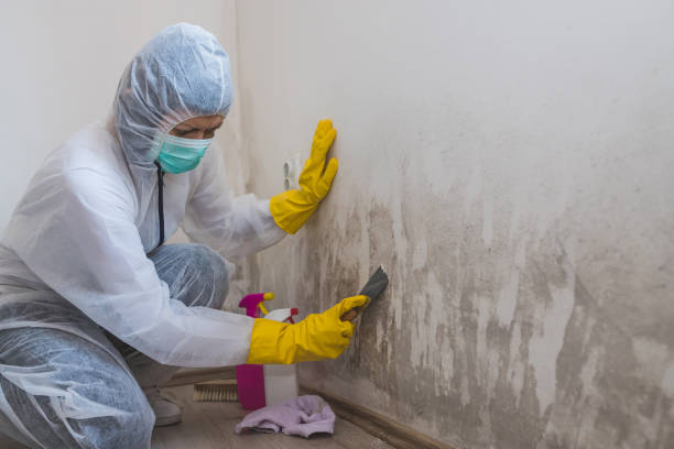 Lindsay, OK Mold Remediation Company